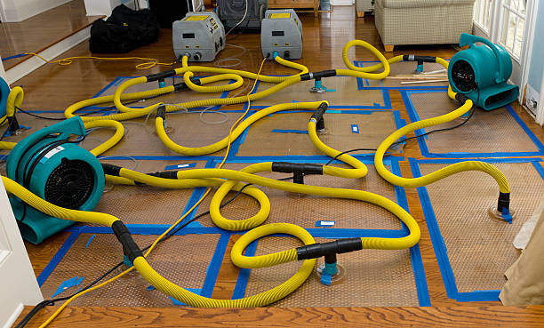 Professional Burst Pipe Water Damage technician working in Elm City, NC