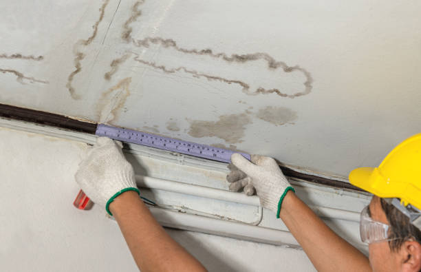 Affordable Water Damage Repair solutions in Elm City, NC